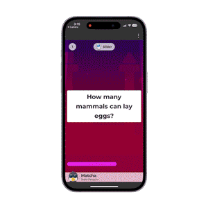 The Lost Pyramid on mobile